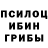 Псилоцибиновые грибы GOLDEN TEACHER xHALx